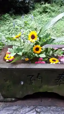 前玉神社の手水舎