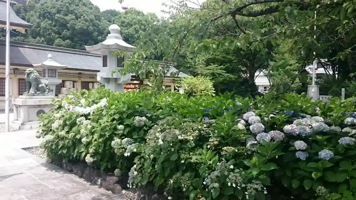 愛知縣護國神社の自然