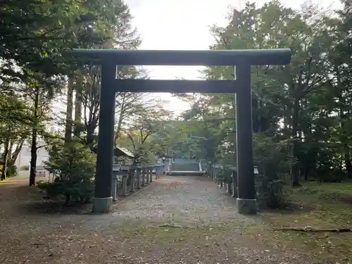信濃神社の鳥居