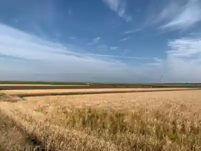 水神宮(千葉県)