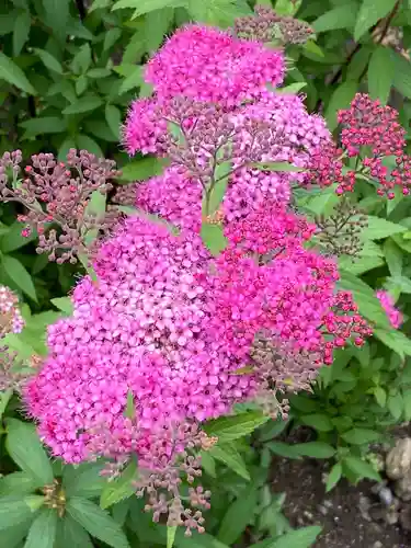 埼玉厄除け開運大師・龍泉寺（切り絵御朱印発祥の寺）の自然