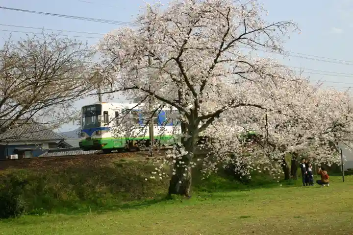 琵琶神社の自然