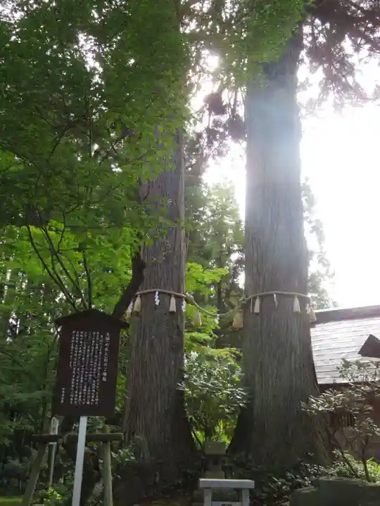 如法寺(鳥追観音)(福島県)