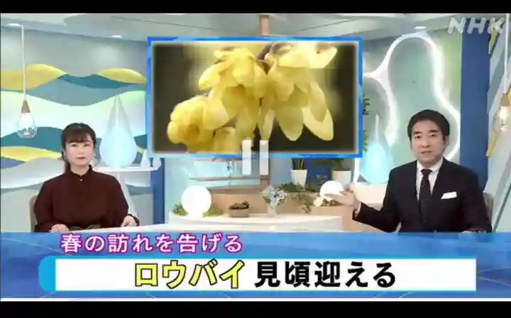 沙沙貴神社(滋賀県)