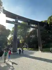 明治神宮の鳥居