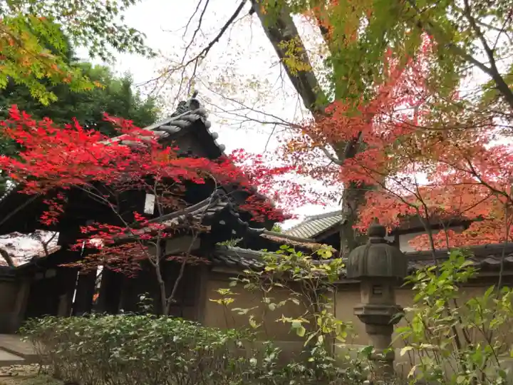 広徳寺の山門・神門