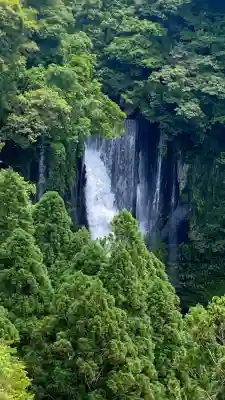 和気神社の{uncategorized: "未分類", other: "その他", undefined: "問題あり", building: "その他建物", grave: "お墓", sacred_gate: "鳥居", guardian: "狛犬", statue: "像", buddha: "仏像", history: "歴史", nature: "自然", garden: "庭園", animal: "動物", pagoda: "塔", temizu: "手水舎", mountain_gate: "山門・神門", sanctuary: "本殿・本堂", subordinate: "末社・摂社", art: "芸術", scenery: "景色", jizo: "地蔵", ema: "絵馬", goshuin: "御朱印", omikuji: "おみくじ", items: "授与品その他", amulet: "お守り", goshuincho: "御朱印帳", eats: "食事", festival: "お祭り", votive_dance: "神楽", shichigosan: "七五三参", wedding: "結婚式", experience: "体験その他", initially: "初詣", around: "周辺", anti_infection: "感染症対策"}