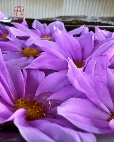 立志神社(滋賀県)