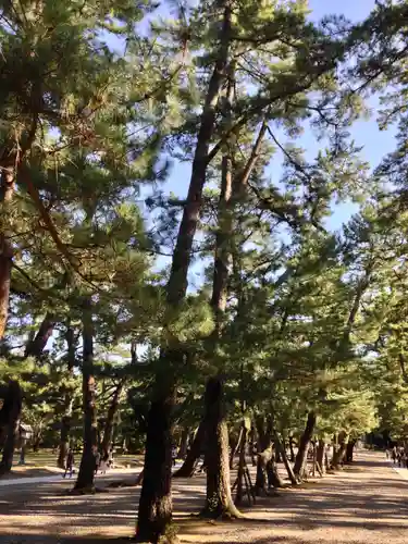 出雲大社の自然