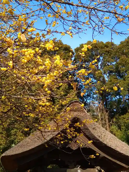 横浜 西方寺(神奈川県)