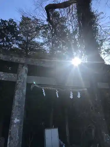 瀧川神社の鳥居