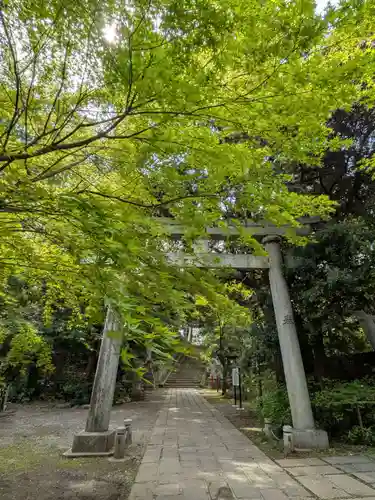 赤坂氷川神社(東京都)