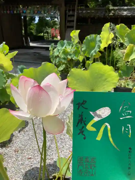 普門寺(切り絵御朱印発祥の寺)のその他建物