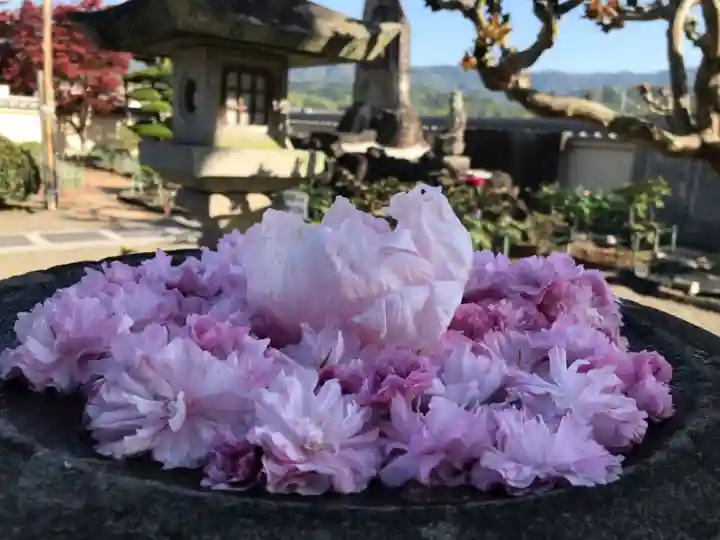 真言宗 善通寺派 薬王寺(香川県)