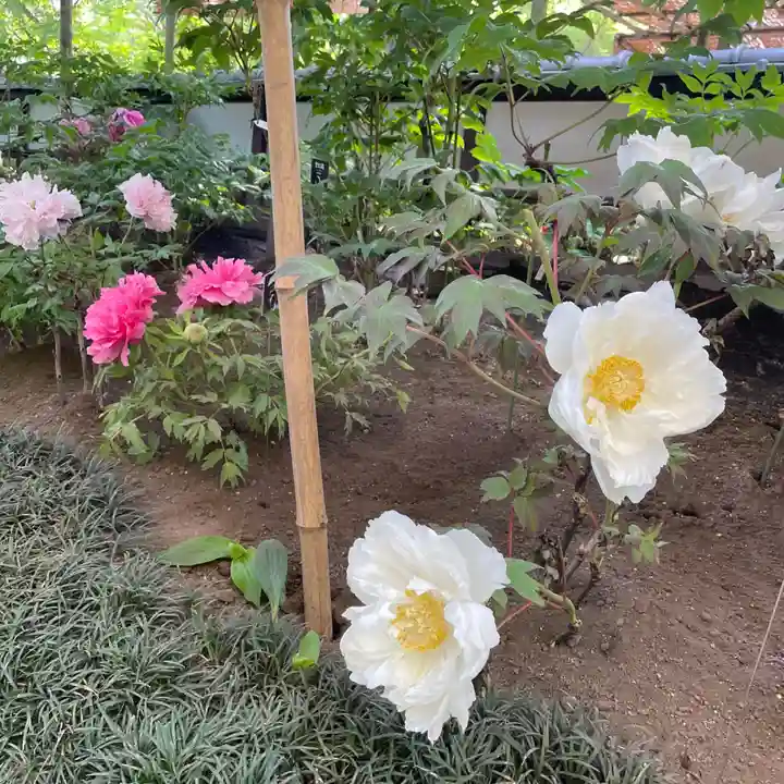 上野東照宮(東京都)