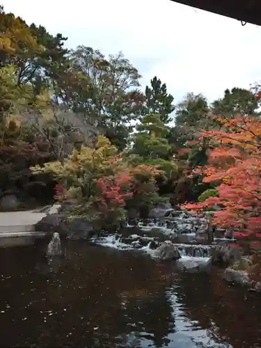 寒川神社の庭園