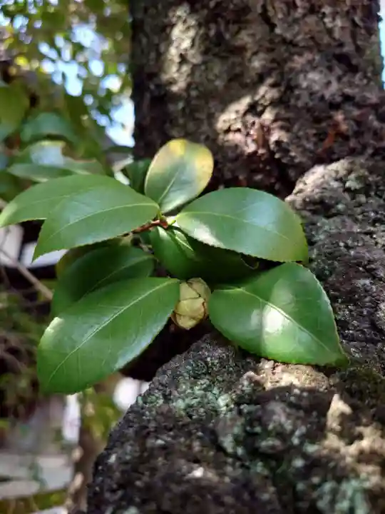 七宮神社(兵庫県)