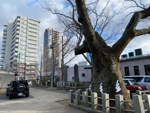 阿邪訶根神社のその他建物