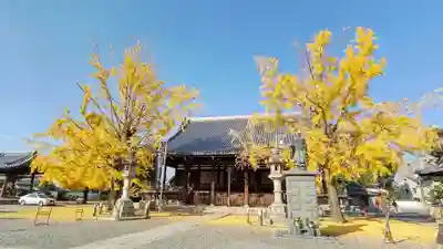 頂妙寺の本殿・本堂