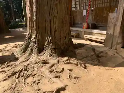 大木戸八幡神社(千葉県)
