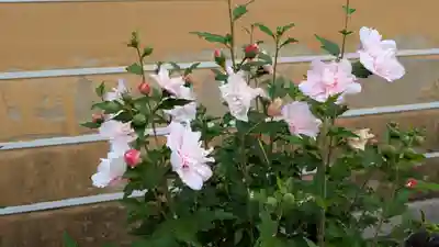 中山寺(兵庫県)