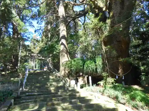 田ノ上八幡神社(宮崎県)