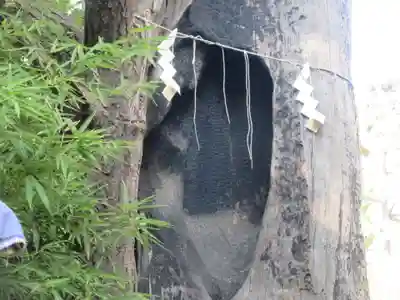 東神奈川熊野神社(神奈川県)