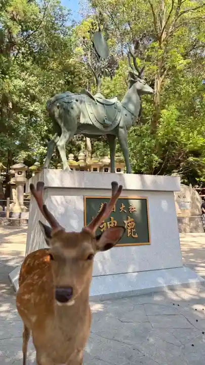 春日大社(奈良県)