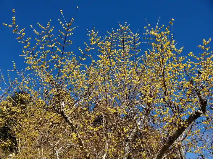 宝登山神社奥宮(埼玉県)