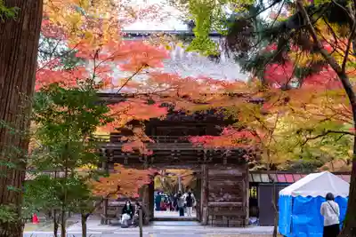 大矢田神社(岐阜県)