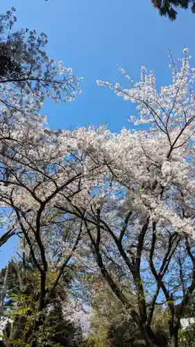 雙栗神社(京都府)