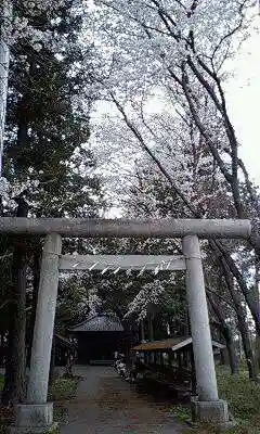 倉田氷川神社の鳥居