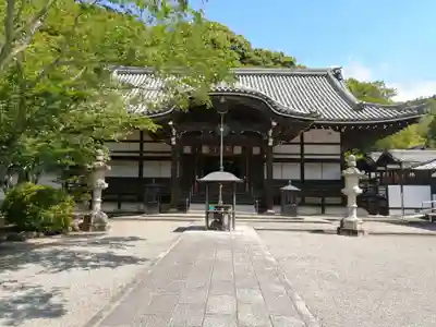 根来寺の本殿・本堂