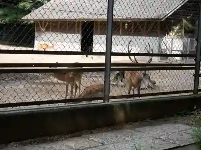 鹿島神宮(茨城県)