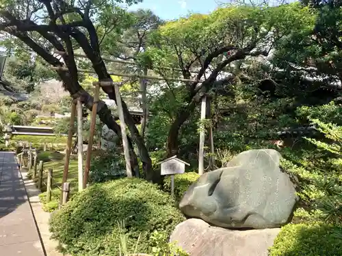 東長谷寺　薬王院のその他建物