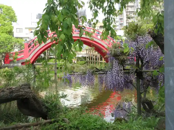 亀戸天神社の庭園