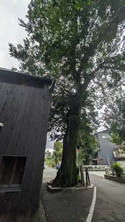 榎木大明神(京都府)
