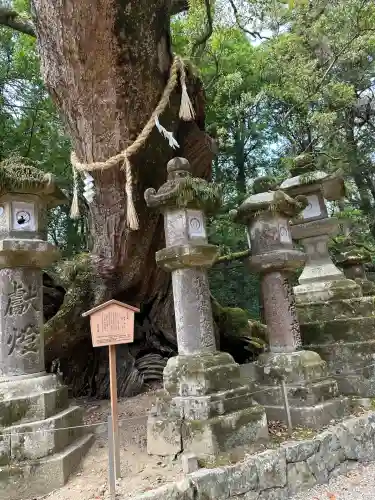 春日大社(奈良県)