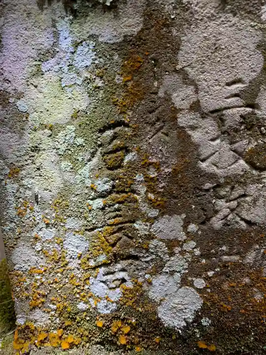 矢口神社(千葉県)
