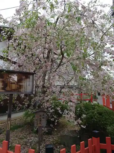 建勲神社の自然