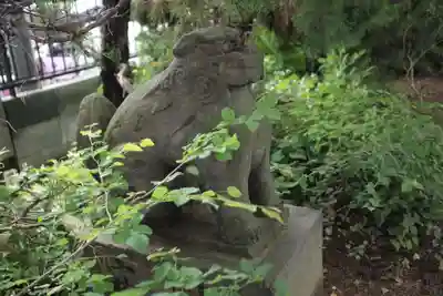 越谷香取神社の狛犬