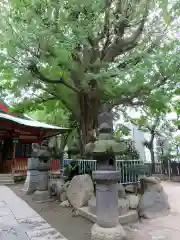 秋葉神社の自然