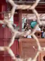 三時知恩寺(京都府)