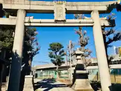 赤羽八幡神社の鳥居