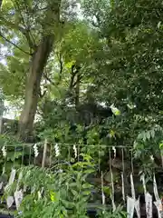 素盞雄神社(東京都)