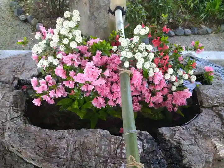 阿智神社の手水舎
