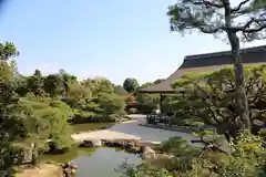 仁和寺(京都府)