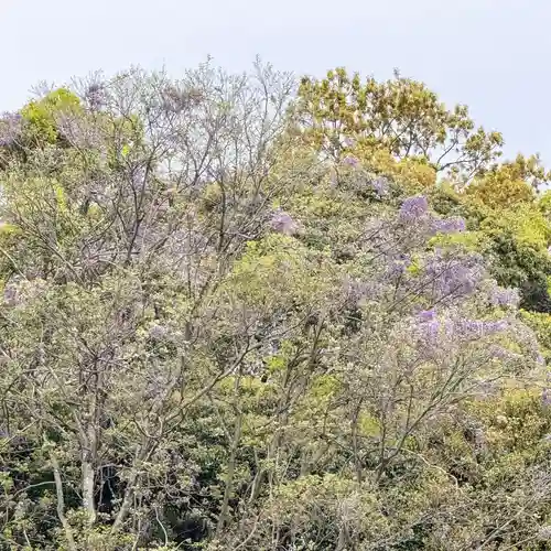 伊勢の国 四天王寺(三重県)