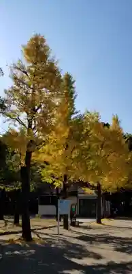 北野神社の自然