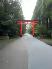 霧島神宮(鹿児島県)